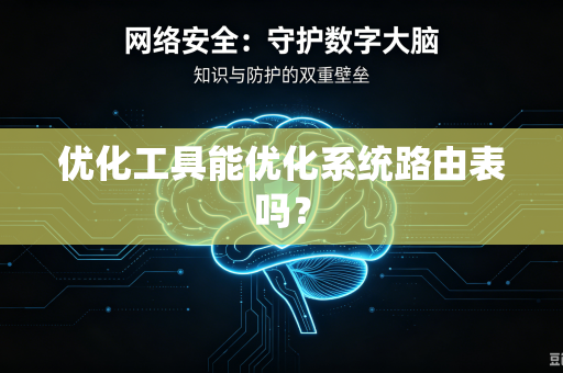优化工具能优化系统路由表吗？