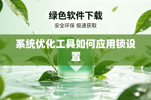 系统优化工具如何应用锁设置