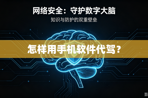 怎样用手机软件代驾？-第1张图片-电脑手机工具软件下载 - 免费实用工具合集 | 联启科技