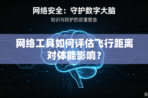 网络工具如何评估飞行距离对体能影响？