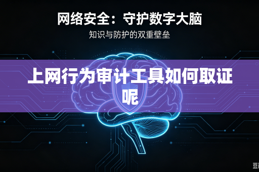 上网行为审计工具如何取证呢