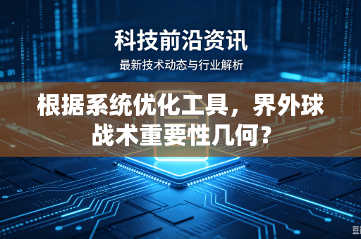 根据系统优化工具，界外球战术重要性几何？