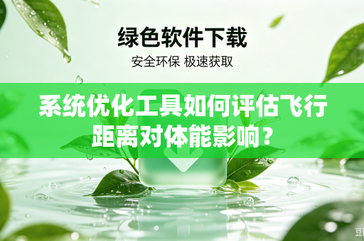 系统优化工具如何评估飞行距离对体能影响？