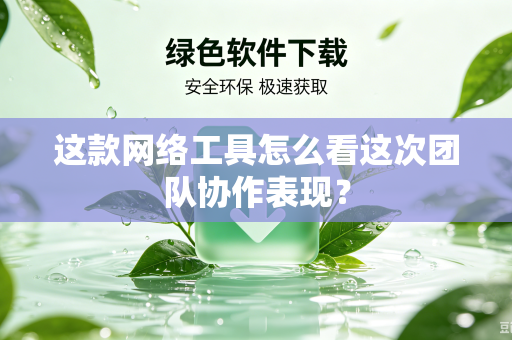 这款网络工具怎么看这次团队协作表现？
