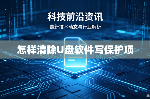怎样清除U盘软件写保护项