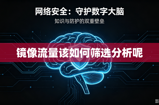 镜像流量该如何筛选分析呢