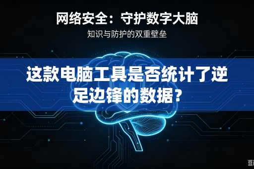 这款电脑工具是否统计了逆足边锋的数据？