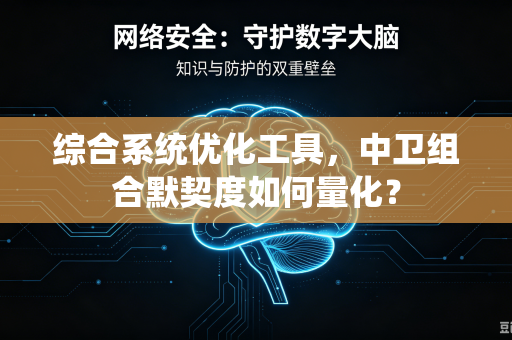 综合系统优化工具，中卫组合默契度如何量化？
