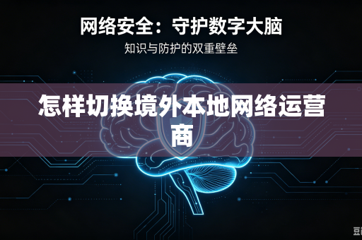 怎样切换境外本地网络运营商