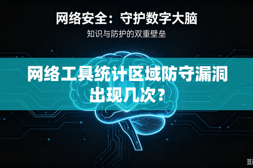 网络工具统计区域防守漏洞出现几次？