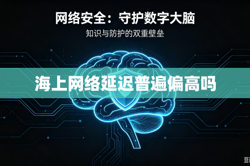 海上网络延迟普遍偏高吗
