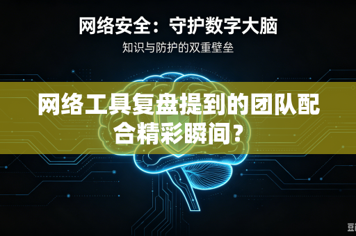 网络工具复盘提到的团队配合精彩瞬间？