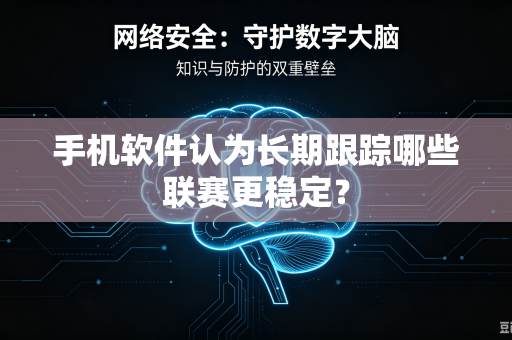 手机软件认为长期跟踪哪些联赛更稳定？