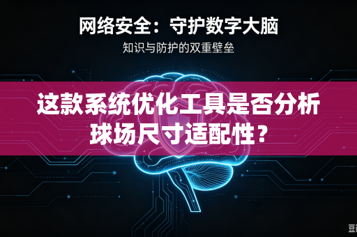 这款系统优化工具是否分析球场尺寸适配性？