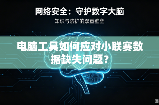 电脑工具如何应对小联赛数据缺失问题？