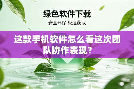 这款手机软件怎么看这次团队协作表现？