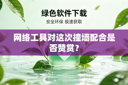 网络工具对这次撞墙配合是否赞赏？