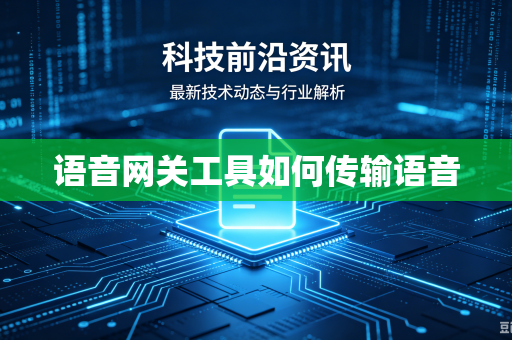 语音网关工具如何传输语音