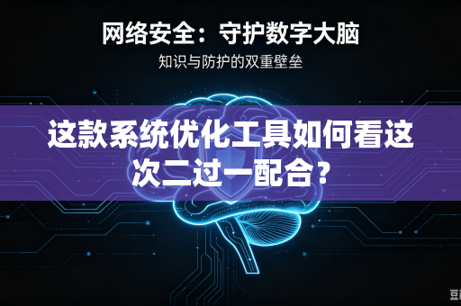 这款系统优化工具如何看这次二过一配合？