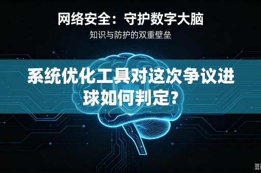 系统优化工具对这次争议进球如何判定？
