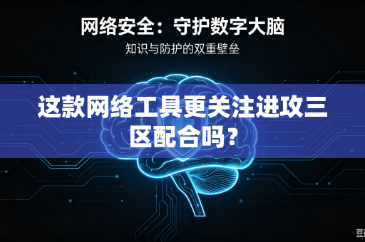 这款网络工具更关注进攻三区配合吗？