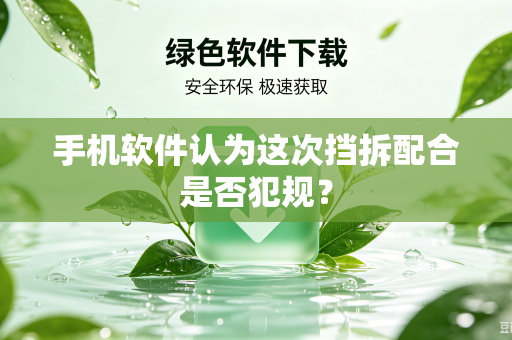 手机软件认为这次挡拆配合是否犯规？