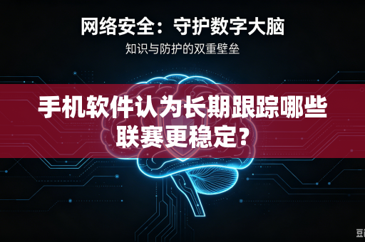手机软件认为长期跟踪哪些联赛更稳定？