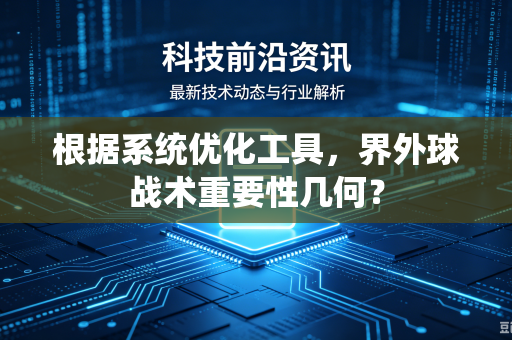 根据系统优化工具，界外球战术重要性几何？