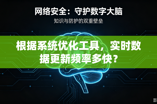 根据系统优化工具，实时数据更新频率多快？