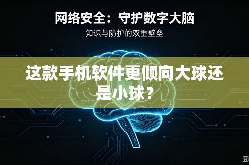 这款手机软件更倾向大球还是小球？