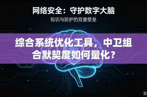综合系统优化工具，中卫组合默契度如何量化？