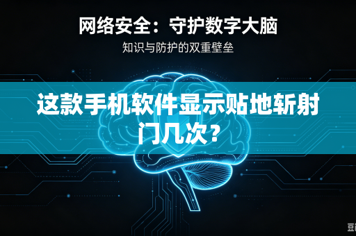 这款手机软件显示贴地斩射门几次？