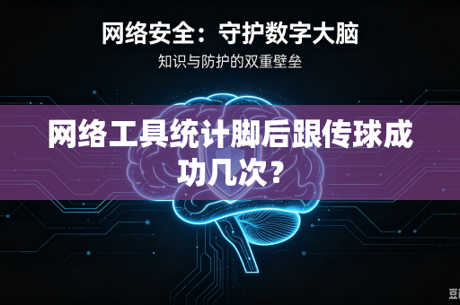 网络工具统计脚后跟传球成功几次？