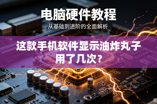 这款手机软件显示油炸丸子用了几次？