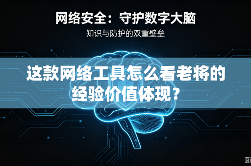 这款网络工具怎么看老将的经验价值体现？