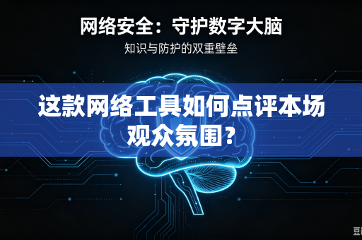 这款网络工具如何点评本场观众氛围？
