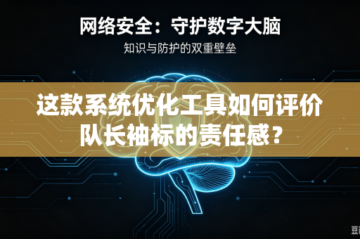 这款系统优化工具如何评价队长袖标的责任感？