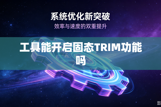 工具能开启固态TRIM功能吗
