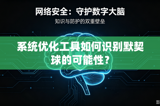 系统优化工具如何识别默契球的可能性？