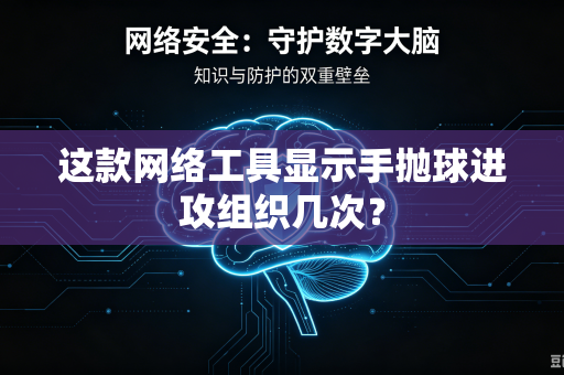 这款网络工具显示手抛球进攻组织几次？