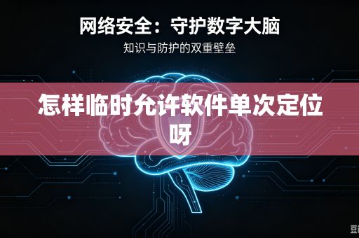 怎样临时允许软件单次定位呀