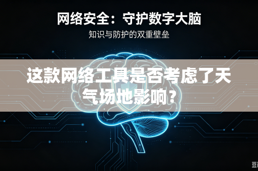 这款网络工具是否考虑了天气场地影响？