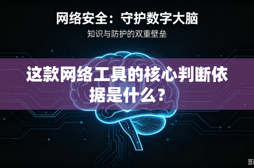 这款网络工具的核心判断依据是什么？