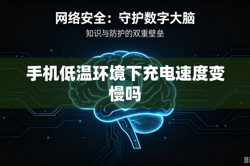 手机低温环境下充电速度变慢吗-第1张图片-电脑手机工具软件下载 - 免费实用工具合集 | 联启科技 手机低温环境下充电速度变慢吗-第1张图片-电脑手机工具软件下载 - 免费实用工具合集 | 联启科技