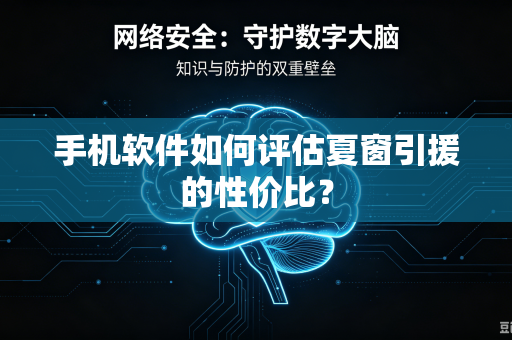 手机软件如何评估夏窗引援的性价比？