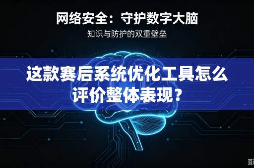 这款赛后系统优化工具怎么评价整体表现？