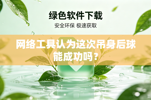 网络工具认为这次吊身后球能成功吗？