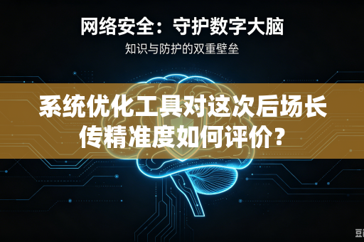 系统优化工具对这次后场长传精准度如何评价？