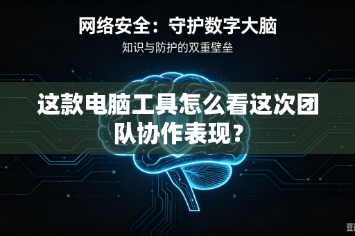 这款电脑工具怎么看这次团队协作表现？