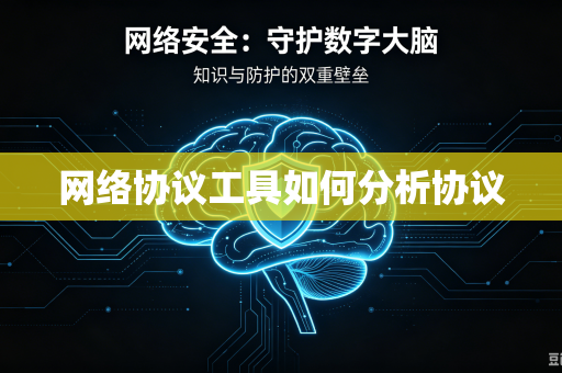 网络协议工具如何分析协议